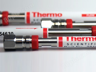 液相色谱Thermo-Hypersil-BDS